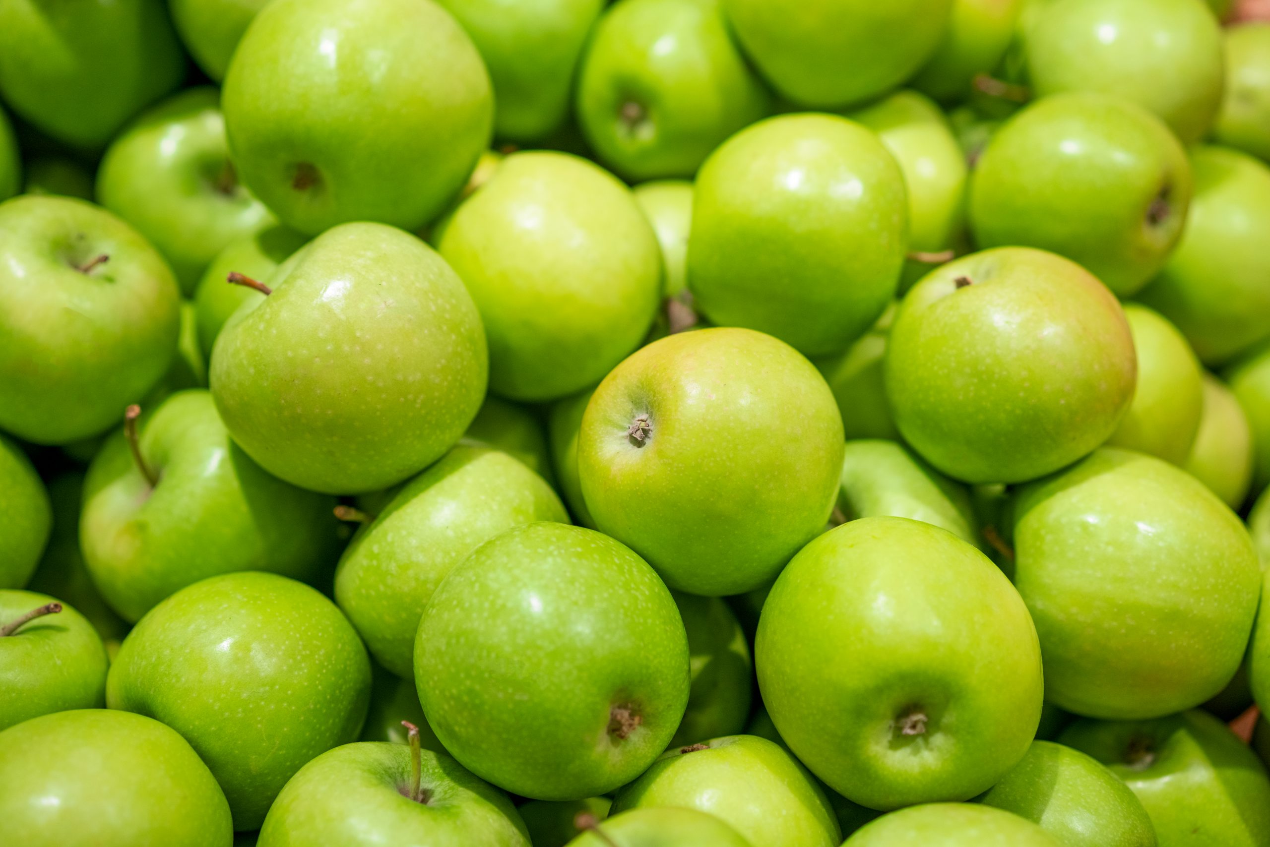 Abonos órgano minerales Inprog específicos para el cultivo de manzana